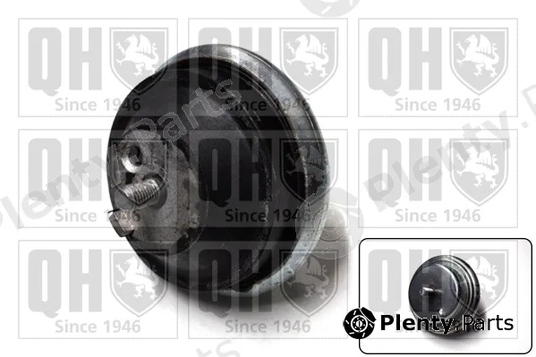 Quinton Hazell EM2461 — Mounting, engine