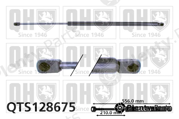 Quinton Hazell QTS128675 — Gas Spring, boot/cargo area