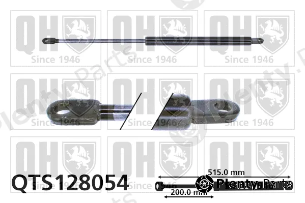 Quinton Hazell QTS128054 — Gas Spring, boot/cargo area