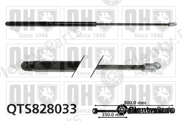 Quinton Hazell QTS828033 — Gas Spring, boot/cargo area