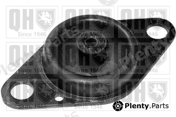 Quinton Hazell EM3087 — Mounting, engine