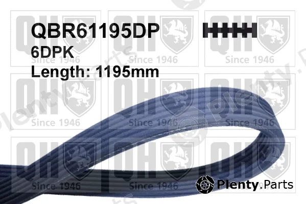 Quinton Hazell QBR61195DP — V-Ribbed Belt