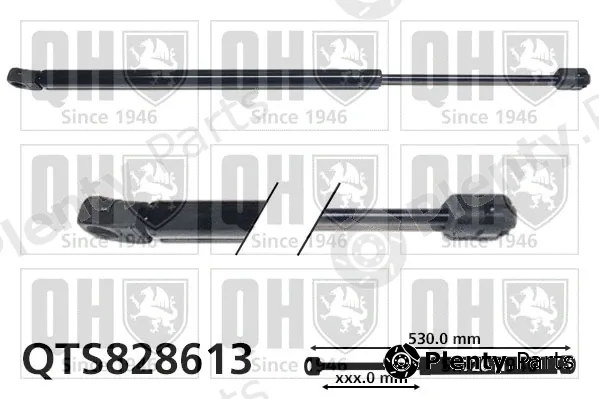 Quinton Hazell QTS828613 — Gas Spring, boot/cargo area