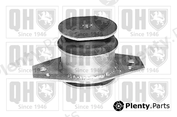 Quinton Hazell EM4054 — Mounting, engine