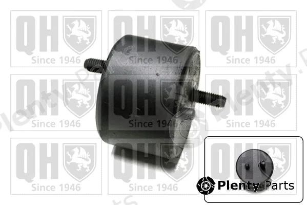 Quinton Hazell EM1517 — Mounting, engine