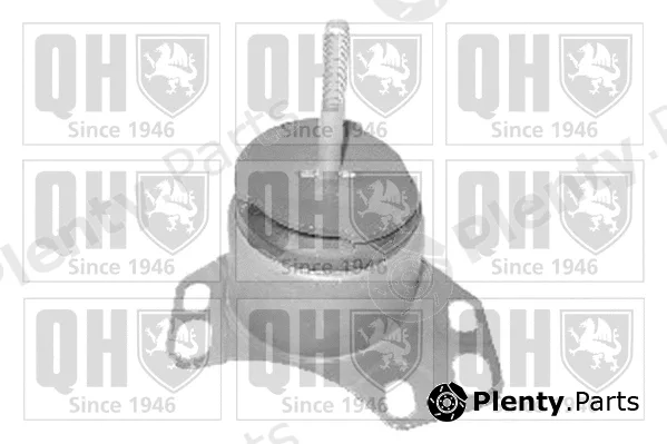 Quinton Hazell EM3161 — Mounting, engine