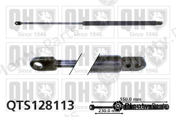 Quinton Hazell QTS128113 — Gas Spring, boot/cargo area