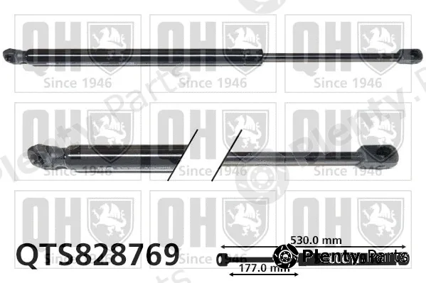 Quinton Hazell QTS828769 — Gas Spring, boot/cargo area