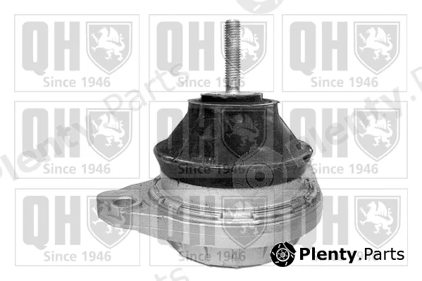 Quinton Hazell EM2453 — Mounting, engine