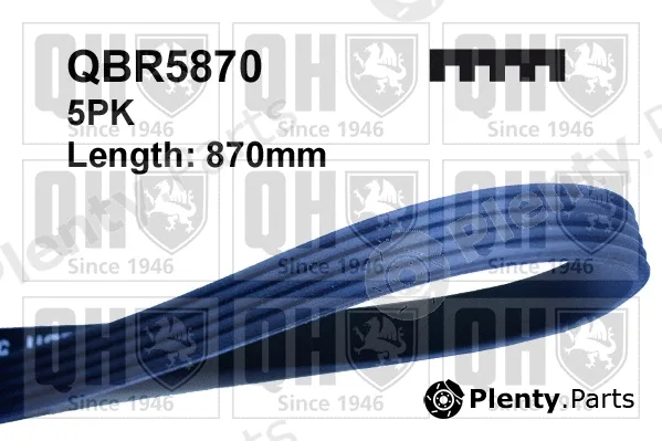 Quinton Hazell QBR5870 — V-Ribbed Belt