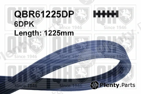 Quinton Hazell QBR61225DP — V-Ribbed Belt