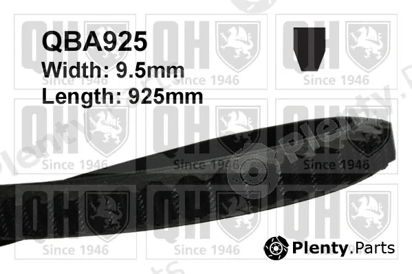 Quinton Hazell QBA925 — V-Belt