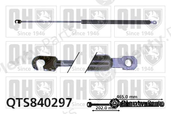 Quinton Hazell QTS840297 — Gas Spring, boot/cargo area