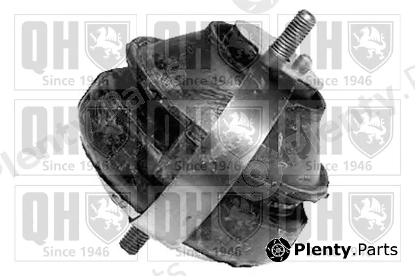 Quinton Hazell EM4038 — Mounting, engine