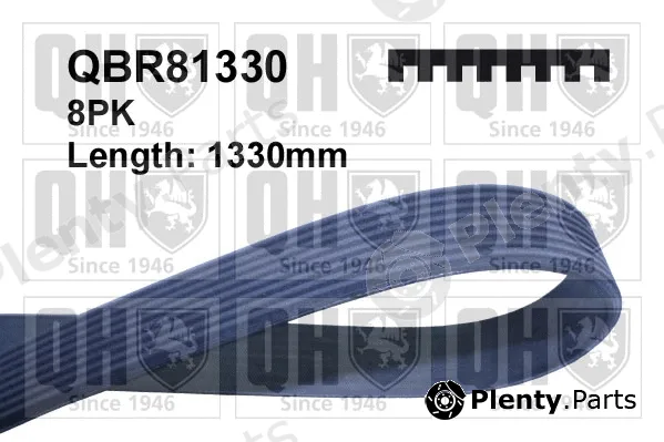 Quinton Hazell QBR81330 — V-Ribbed Belt