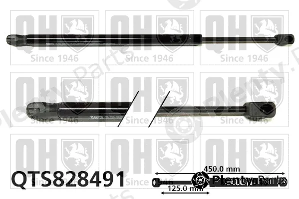 Quinton Hazell QTS828491 — Gas Spring, boot/cargo area