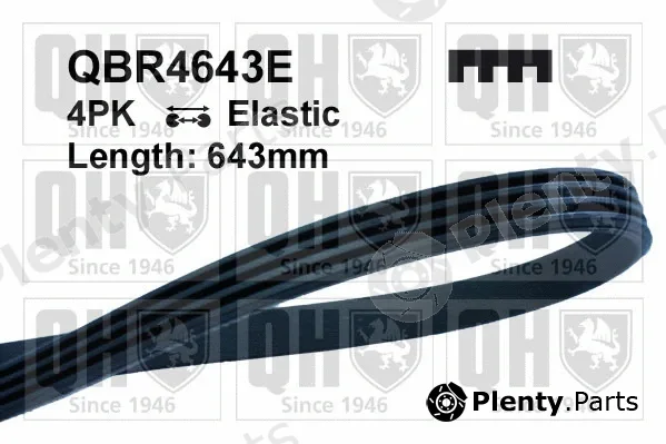 Quinton Hazell QBR4643E — V-Ribbed Belt
