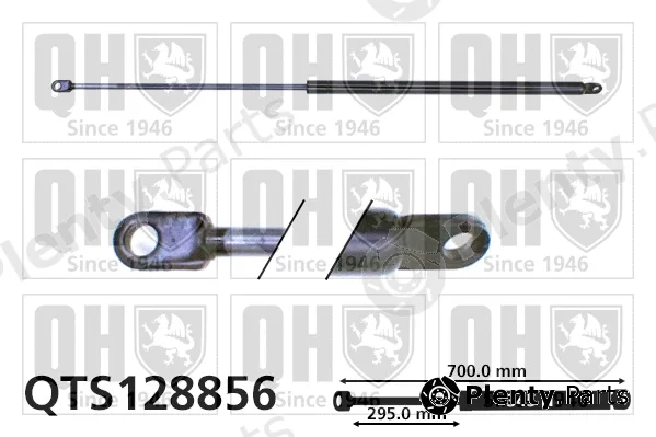 Quinton Hazell QTS128856 — Gas Spring, boot/cargo area