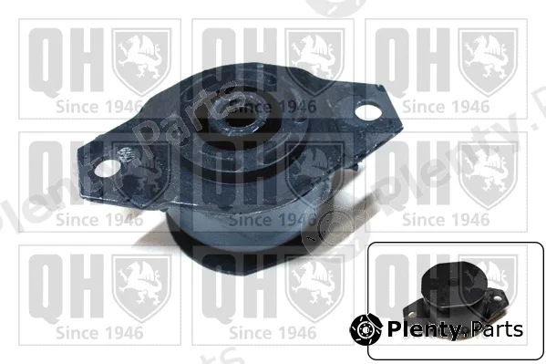 Quinton Hazell EM3136 — Mounting, engine