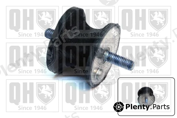 Quinton Hazell EM4342 — Mounting, engine