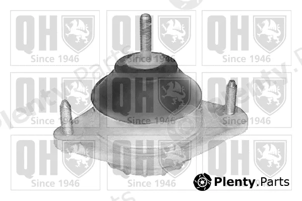 Quinton Hazell EM4067 — Mounting, engine