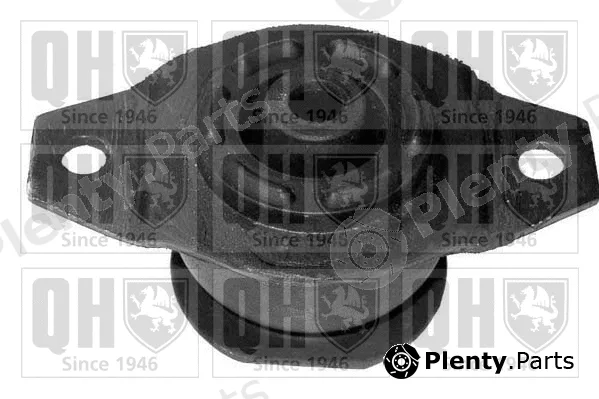 Quinton Hazell EM3100 — Mounting, engine
