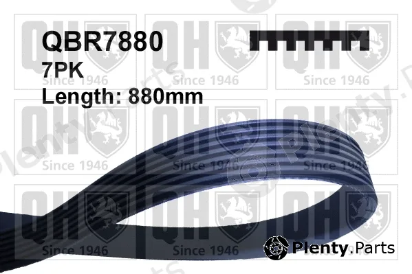 Quinton Hazell QBR7880 — V-Ribbed Belt