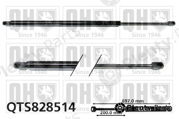 Quinton Hazell QTS828514 — Gas Spring, boot/cargo area