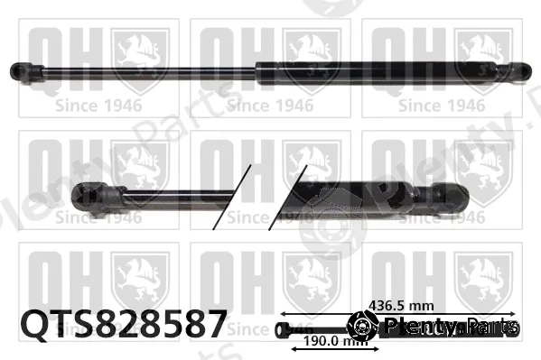 Quinton Hazell QTS828587 — Gas Spring, boot/cargo area