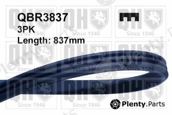 Quinton Hazell QBR3837 — V-Ribbed Belt