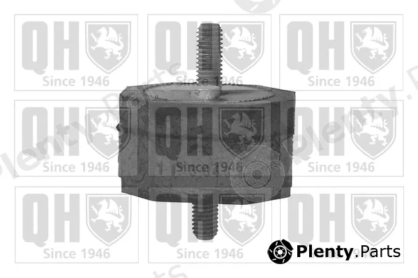 Quinton Hazell EM1721 — Mounting, engine