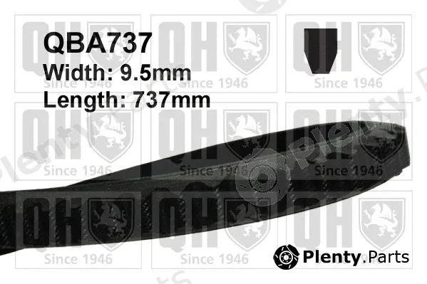 Quinton Hazell QBA737 — V-Belt