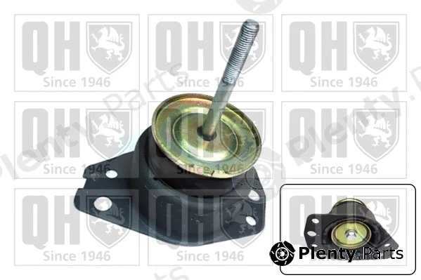 Quinton Hazell EM3142 — Mounting, engine