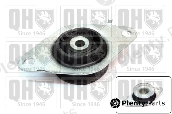 Quinton Hazell EM3182 — Mounting, engine