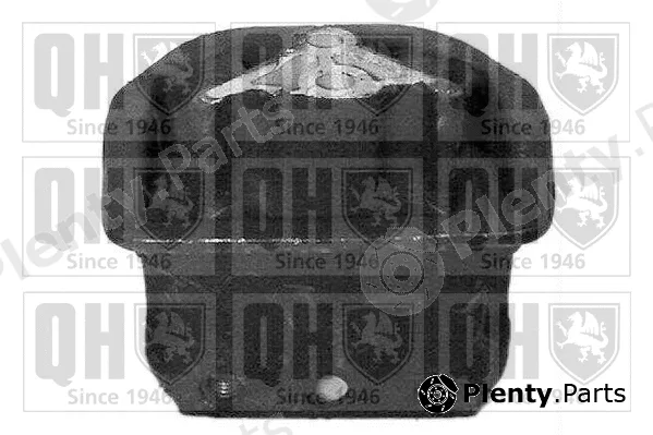 Quinton Hazell EM2463 — Mounting, engine