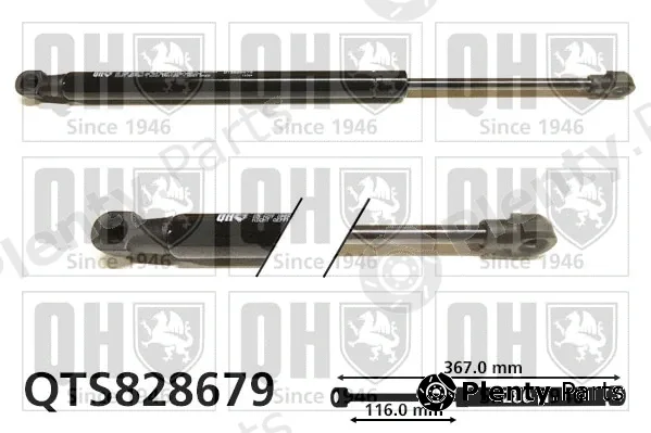 Quinton Hazell QTS828679 — Gas Spring, boot/cargo area