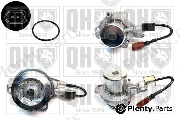 Quinton Hazell QCP3876DPS — Water Pump, engine cooling