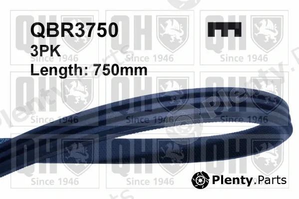 Quinton Hazell QBR3750 — V-Ribbed Belt