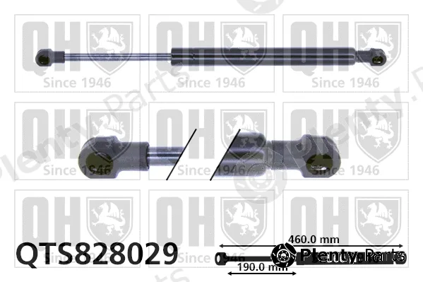 Quinton Hazell QTS828029 — Gas Spring, boot/cargo area