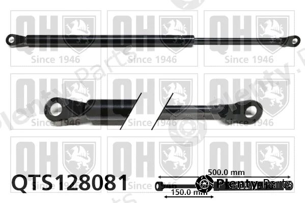 Quinton Hazell QTS128081 — Gas Spring, boot/cargo area