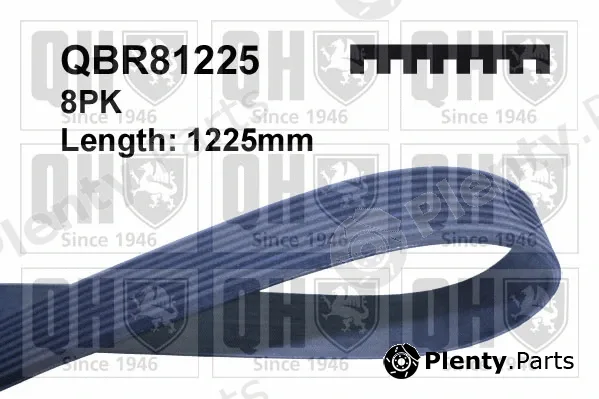 Quinton Hazell QBR81225 — V-Ribbed Belt