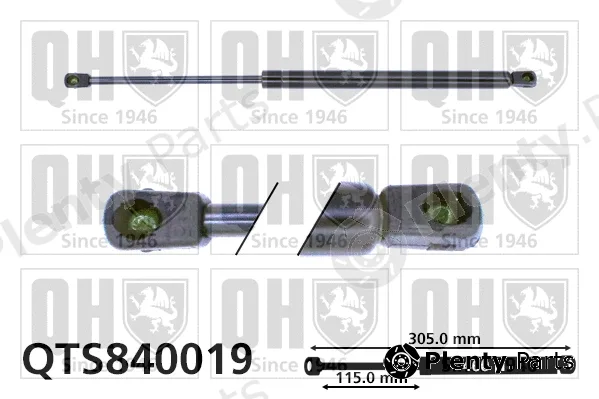 Quinton Hazell QTS840019 — Gas Spring, boot/cargo area