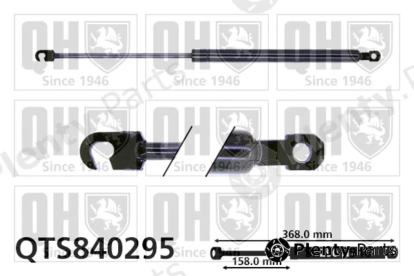 Quinton Hazell QTS840295 — Gas Spring, boot/cargo area