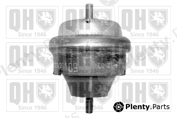 Quinton Hazell EM2584 — Mounting, engine