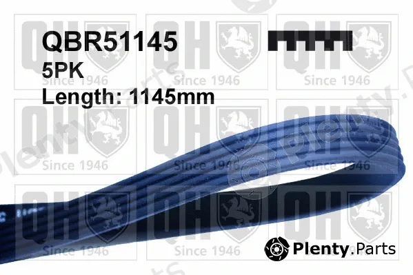 Quinton Hazell QBR51145 — V-Ribbed Belt