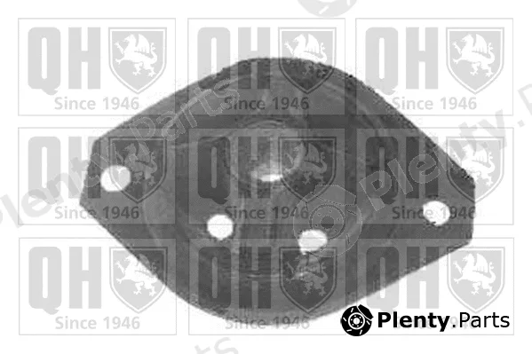 Quinton Hazell EM1712 — Mounting, engine