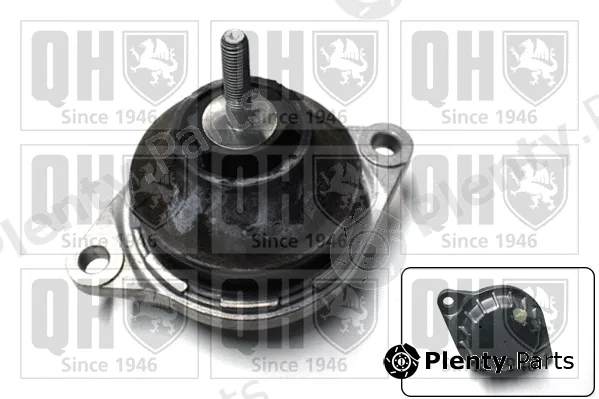 Quinton Hazell EM1929 — Mounting, engine
