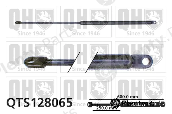 Quinton Hazell QTS128065 — Gas Spring, boot/cargo area