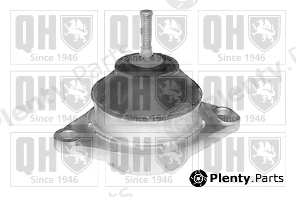 Quinton Hazell EM4066 — Mounting, engine