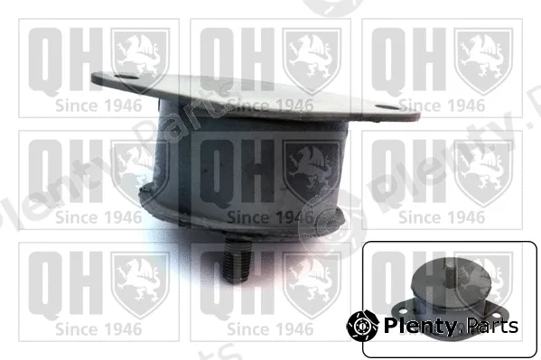 Quinton Hazell EM1509 — Mounting, engine